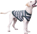 Extra Large Dog T Shirts Clothes Sleeveless Tank Top Vest for Labrador Rottweiler Great Dane, Green, 6X-Large