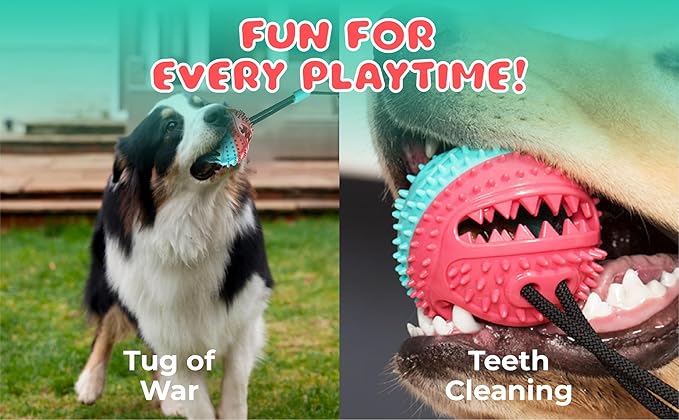 Just4Pups Dog Chew Toys – Durable, Long-Lasting Rubber Chew Toy with Treat Dispensing and Dental Benefits—Perfect for High-Energy Dogs and Puppies