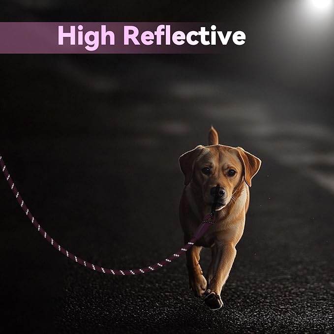 Nylon Dog Leash 6FT 10FT 20FT 30FT Diameter 2/5 Inch with Comfortable Silicone Handle Highly Reflective No Tangle for Medium Large Dogs Outside Walking Camping Backyard. (Pink, 10FT)