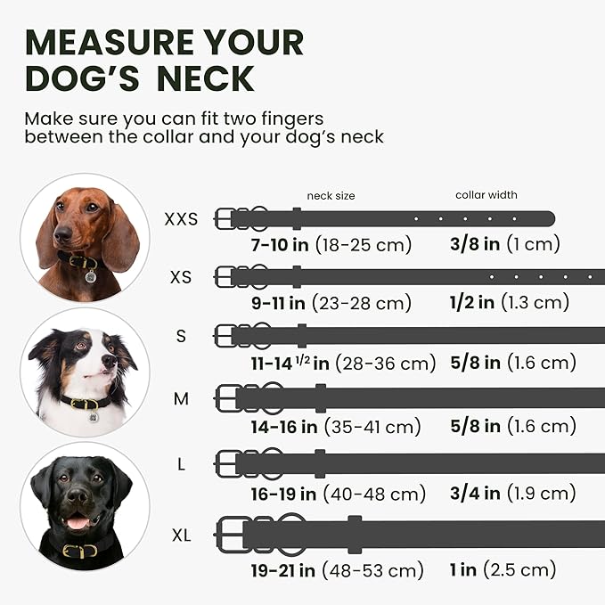 BronzeDog Rolled Leather Dog Collar with QR ID Tag, Adjustable Soft Round Collars for Small Medium Large Dogs Puppy (14" - 16" Neck Size, Black Night)