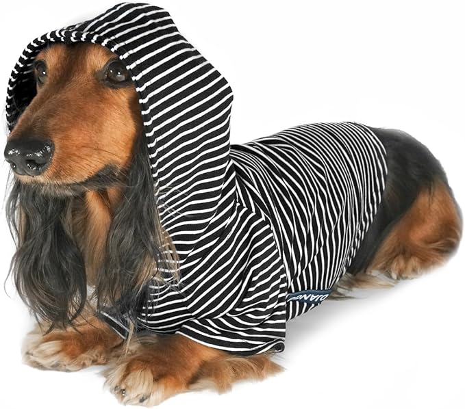 DJANGO Dog Hoodie – Warm, Lightweight, Soft & Stretchy Dog Sweater with Hood, Harness Hole & Elastic Waistband – Cozy Sweatshirt for Small Dogs up to 25 lbs, Dachshunds & Puppies – Black, Medium