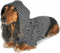 DJANGO Dog Hoodie – Warm, Lightweight, Soft & Stretchy Dog Sweater with Hood, Harness Hole & Elastic Waistband – Cozy Sweatshirt for Small Dogs up to 25 lbs, Dachshunds & Puppies – Black, Medium