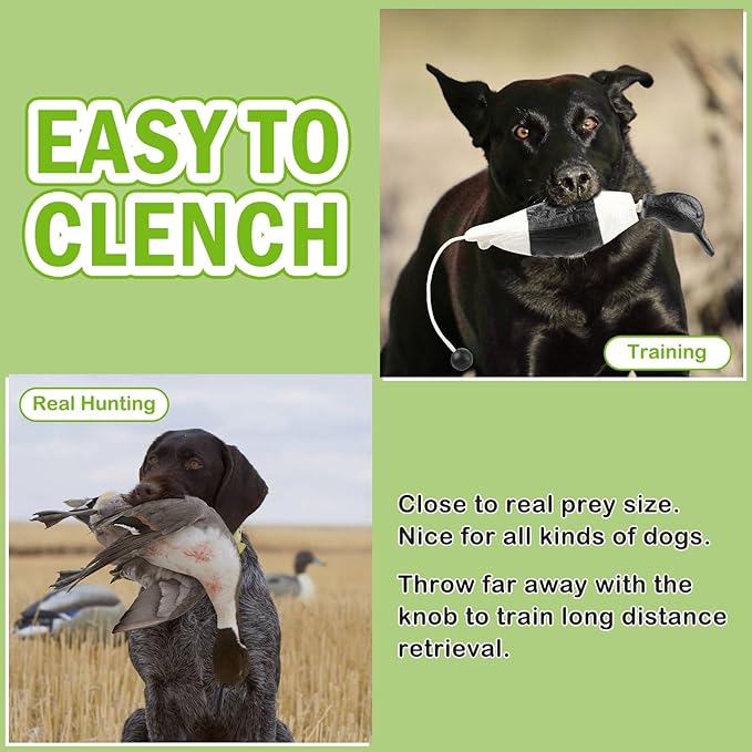 Archerest Dead Duck Dove Pheasant Dummy Bumper Toys for Waterfowl Hunting Retriever Dog Training, Floating Mallard Dummy Trainer Outdoor Soft Durable Realistic Fowl