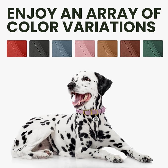 BronzeDog Rolled Leather Dog Collar with QR ID Tag, Adjustable Soft Round Collars for Small Medium Large Dogs Puppy (7" - 10" Neck Size, Lavender)