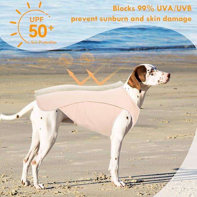 2 Pack Dog Shirt Quick Dry, Sun Protection UPF50+ Summer Cooling Vest, Soft Lightweight Tshirts for Medium Dogs Allergies Wound Care, Purple+Pink, M