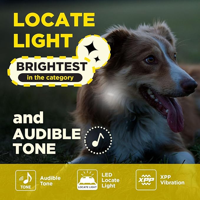 Dogtra 200iQ Remote Training E Collar – 100 Levels, Tone, Vibration, 1/2 Mile Range – Compact, Waterproof, One-Handed Control for Dogs 10 lbs+ – Lightweight Design for Daily Training – Black Leopard