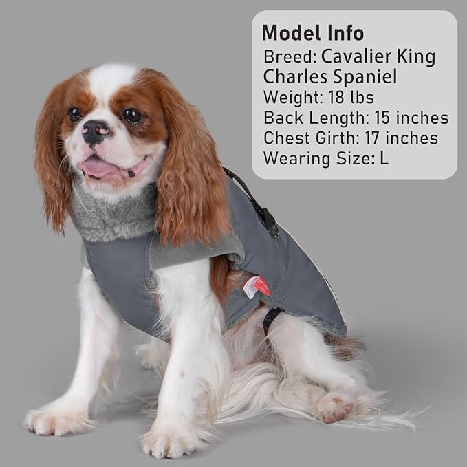 KYEESE Waterproof Dog Coat, Windproof Winter Jacket with Thick Fleece Lining, Extra Warm Turtleneck Dog Coats for Medium Dogs with Leash Hole and Reflective Design, Gray, X-Large