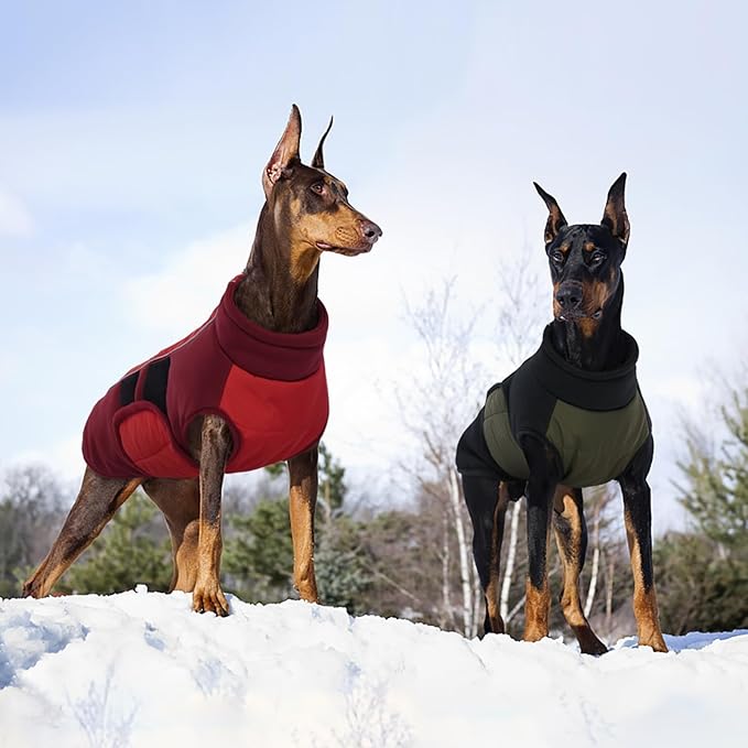 Kuoser Dog Coat for X-Small Dogs | Winter, Waterproof | Keep Tiny Pups Toasty on Chilly Walks! Ultra-Lightweight, Snug Fit - Happy Toy Breeds & No Shivering, Green XS