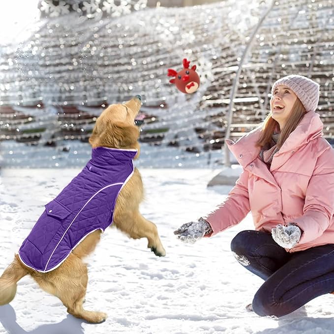 Malier Dog Winter Coat, Windproof Dog Cold Weather Coats with Real Pocket, Winter Extra Warm Pet Coat Fleece Jacket Reflective Clothes for Small Medium Large Dogs and Puppy (Purple, X-Large)