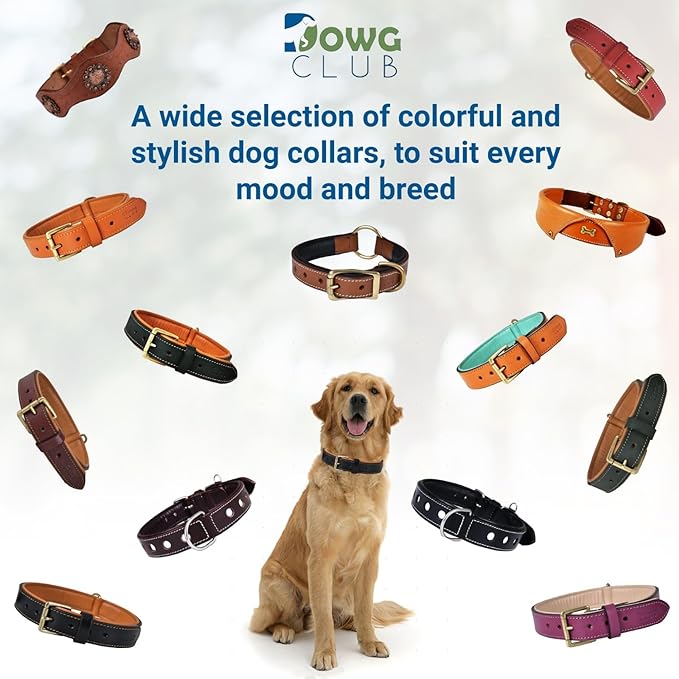 Leather Dog Collar | Dog Collar for Extra Large Dogs, 1.5 Inch Wide, Tan | Genuine, Full Grain, Heavy Duty, Comfortable, Inner Soft Padding (X-Large (Fit Neck Size 22"-26"), Tan)