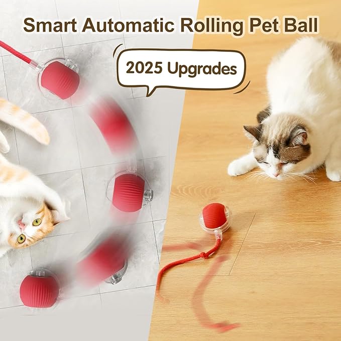 Interactive Cat Toy Ball, 2025 Upgraded Cat Toys for Bored Indoor Adult Cats, Self Rolling Interactive Dog Ball Toy, Automatic Smart Pet Toy Ball Kitten Toys (Red Green)