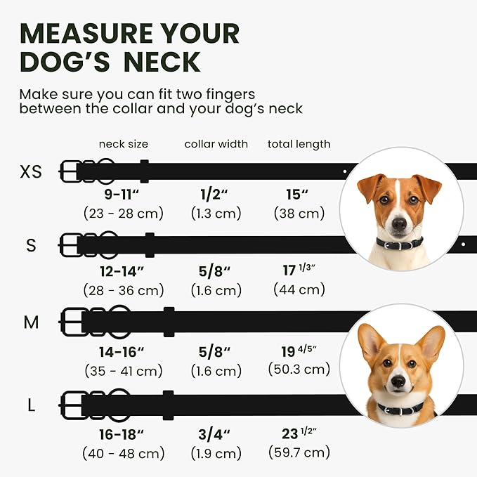BRONZEDOG Rolled Leather Dog Collar for Small Medium Large Dogs with QR ID Tag (L: 16-18 Inch, Glossy Black)