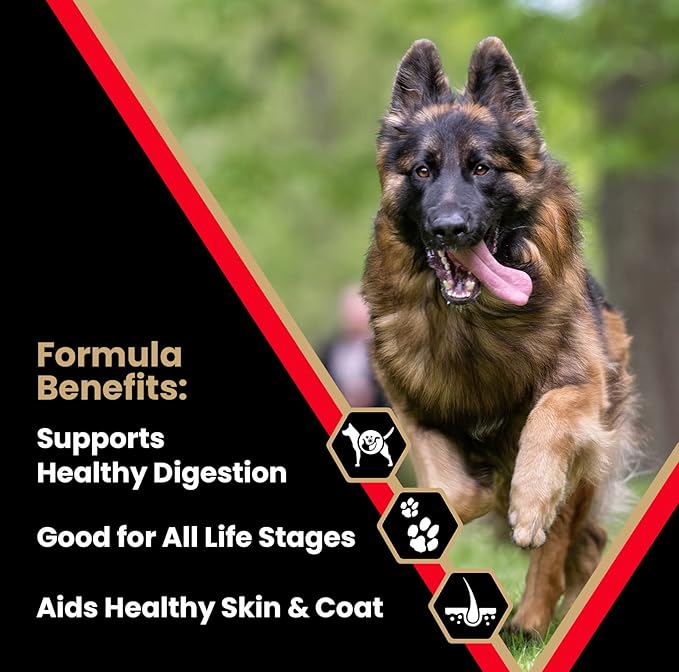 VICTOR Super Premium Dog Food – High Energy Dry Dog Food for Active Dogs – Gluten Free Canine Kibble with Beef and Chicken Meal Proteins for Sporting Dogs – All Breeds and All Life Stages, 40 lb