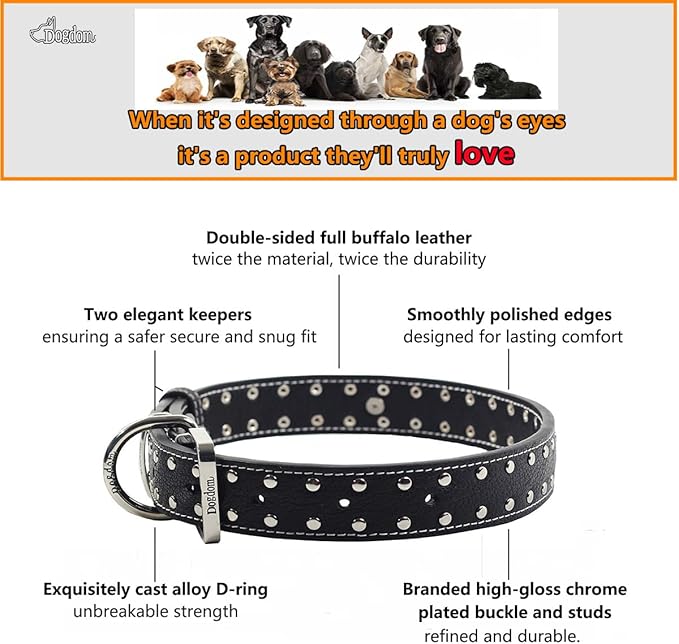 Studded Leather Dog Collar – Durable Adjustable Collar, Black Large