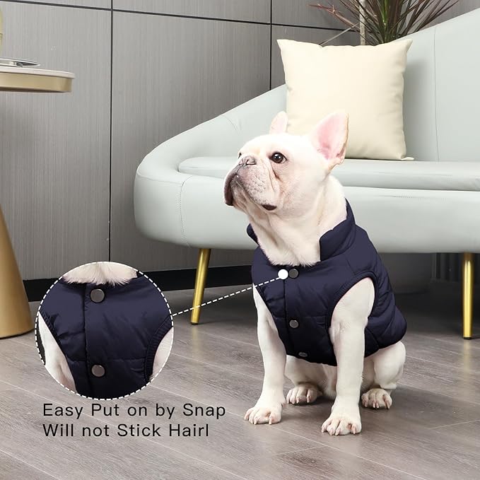2 Layers Fleece Lined Warm Dog Jacket for Puppy Winter Cold Weather,Soft Windproof Small Dog Coat,Blue M