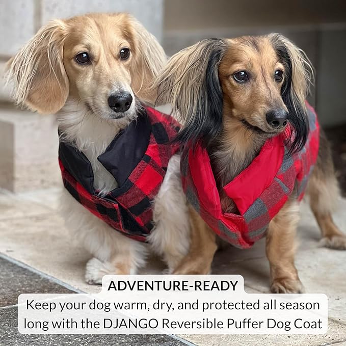 DJANGO Reversible Puffer Dog Coat – Warm Winter Dog Jacket & Water-Repellent Insulated Dog Coat with Harness Hole, Windproof, Adjustable Fit Vest for Small & Medium Dogs, Dachshunds – Black, Small