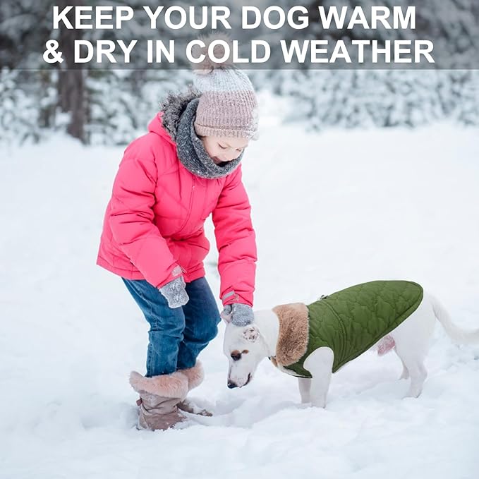 BEAUTYZOO Winter Dog Coat with Harness Built in, Warm Dog Puffer Jacket Vest Padded Fleece Cold Weather Coats Windproof Waterproof Snow Jackets Clothes for Small Medium Puppy, Green M