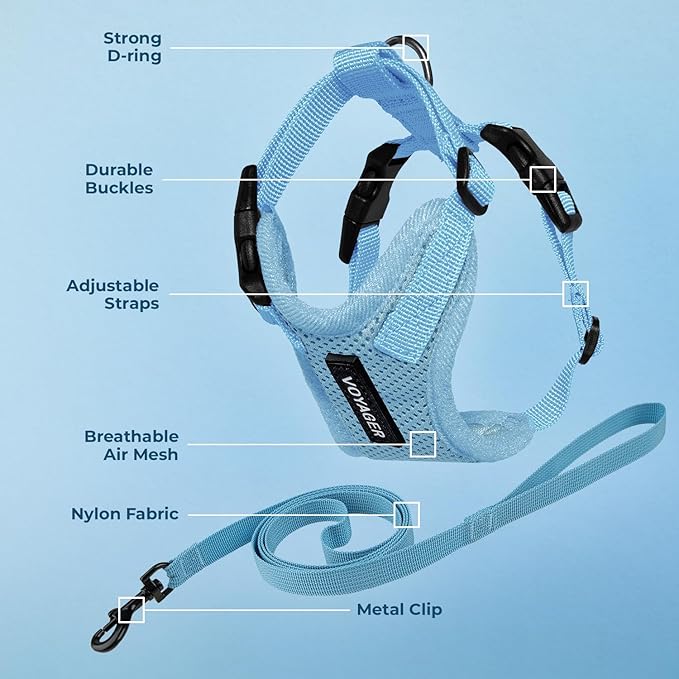 Voyager Step-in Lock Adjustable Cat Harness w. Cat Leash Combo Set with Neoprene Handle 5ft - Supports Small, Medium and Large Breed Cats by Best Pet Supplies - Baby Blue, S