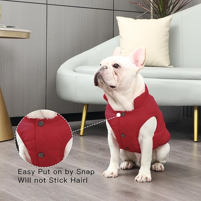 2 Layers Fleece Lined Warm Dog Jacket for Puppy Winter Cold Weather,Soft Windproof Small Dog Coat,Red S