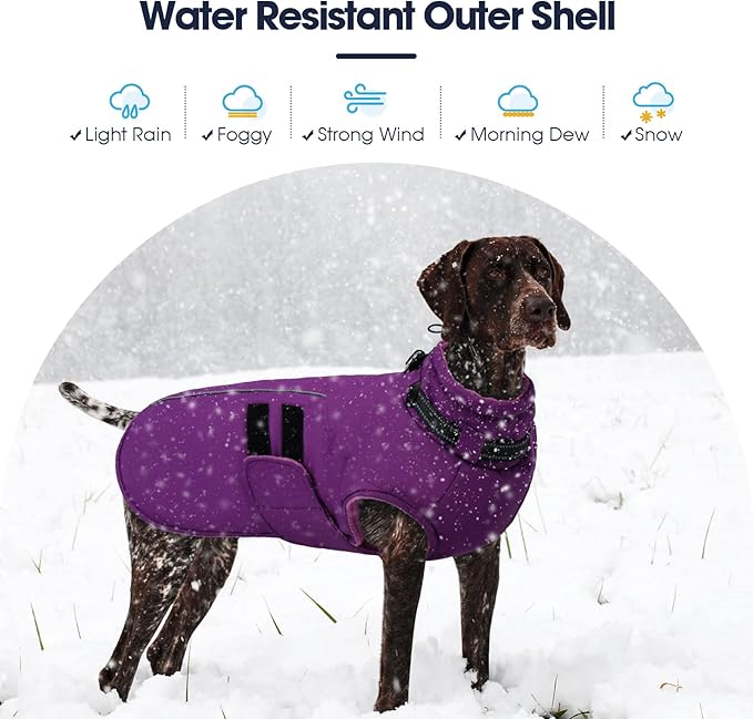 IECOii Winter Dog Coat for Extra Large Dogs, Waterproof Reflective Dog Snow Jacket for Giant Breeds, Built in Collar Snowsuit Thermal Dogs Cold Weather Coats for Great Dane, Purple - 4XL