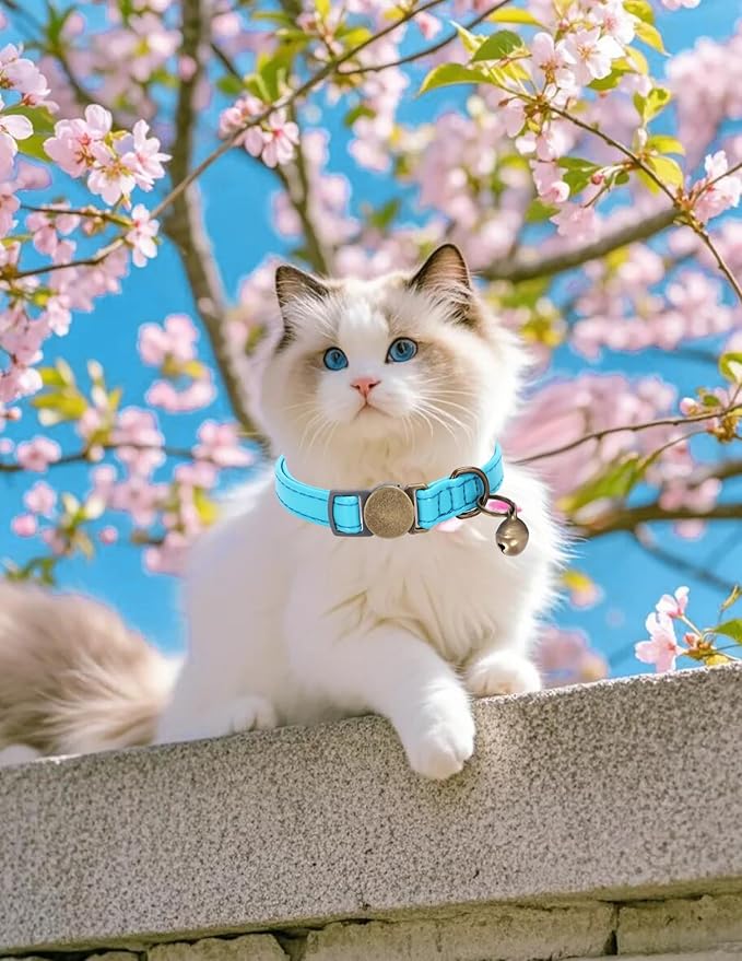 Cat Collar Breakaway, Personalized Leather Cat Collar with Bells -Adjustable Customized Collar with Name & Phone Number Tag for Girl Boy Cats -Quick Release Buckle for Cats & Kittens (Blue)
