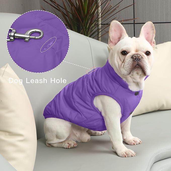 2 Layers Fleece Lined Warm Dog Jacket for Winter Cold Weather,Soft Windproof Medium Dog Coat,Purple XL