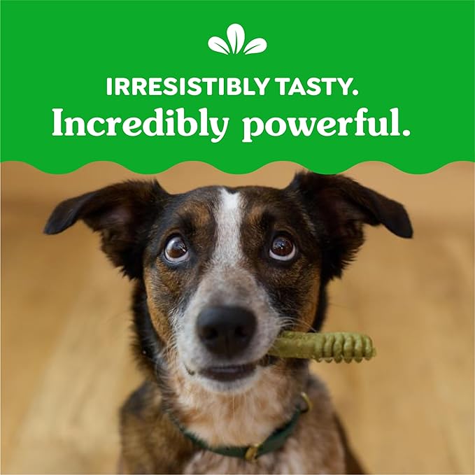 Greenies Original Regular Dental Dog Treats, 3 oz. Pack (3 Treats)