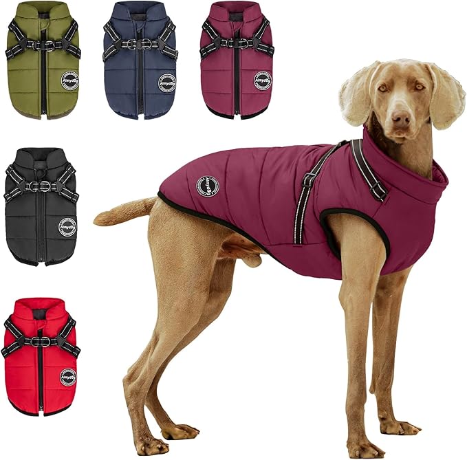 Warm Winter Coat, Fashion Sports Jacket with Built-in Harness, Reflective & Adjustable Comfortable Pet Vest, Waterproof Windproof Dog Apparel for Small Dogs (Purple)