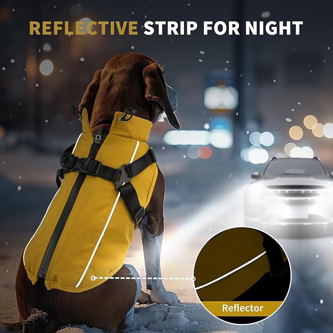 Dog Winter Coat Reflective Water-Resistant Jacket, Fleece Lined Windproof Puppy Coat with Back Zipper & D-Ring, Cold Weather Dog Coats for Small Medium Large Dogs (M, Orange)