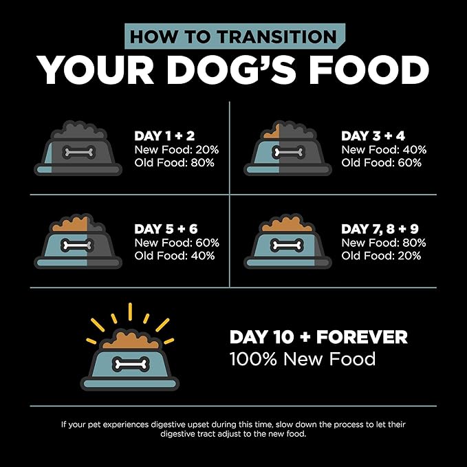 Go! Solutions Digestion + Gut Health, Dry Dog Food, Chicken Recipe with Ancient Grains, 12 lb Bag