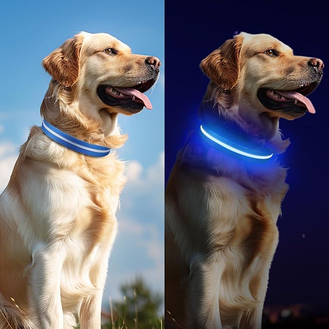 Jewyow Light Up Dog Collar, Adjustable USB Rechargeable Glow in Dark Dog Collar ，Waterproof Dog Collars for Medium Dogs (Blue, Medium)
