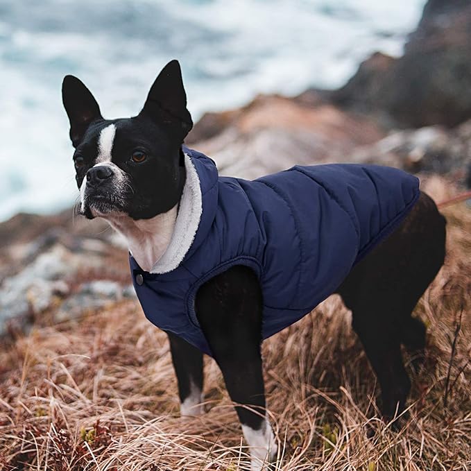 Fleece Hoodie, Windproof Waterproof Coat, Winter Warm Jacket, Cold Weather Pet Apparel Clothes Vest for Small Medium Large Dogs (M, Blue)