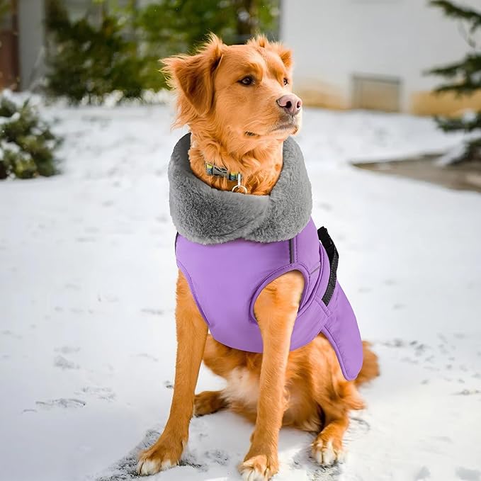 PETDSH Dog Coat Large, Windproof Dog Jacket with Warm Fleece Lining, Thickened Collar Dogs Winter Coat, Adjustable Reflective Pet Coats for Cold Weather (Purple, XX-Large)