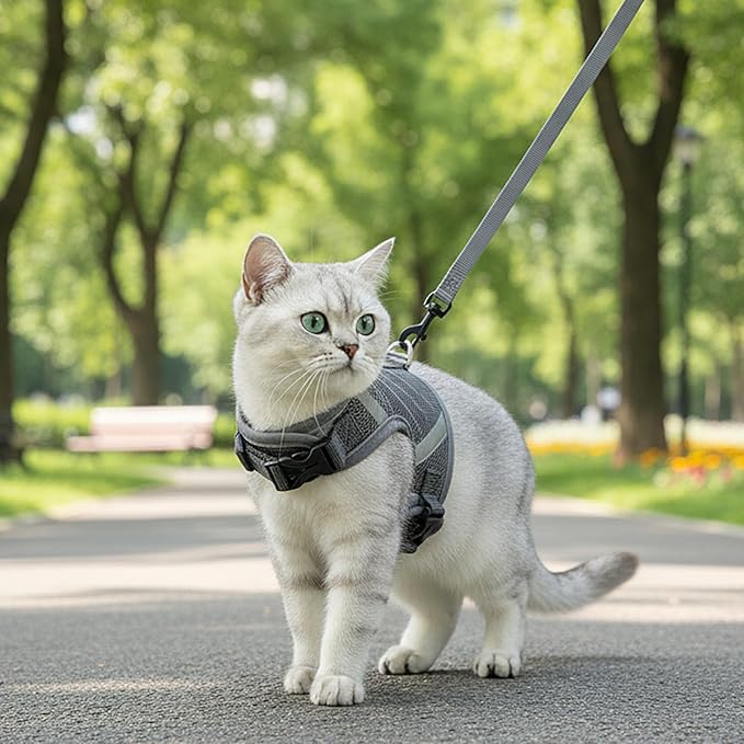Cat Harness and Leash Escape Proof Kitten Harness Cat Leash for Walking Travel Service Cat Vest, Grey, Small