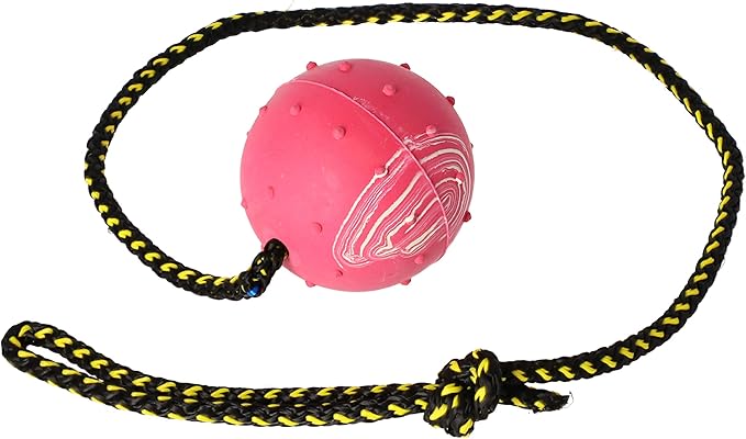 Dingo Nubby Dog Ball - Fully Rubber-Filled, with 60 cm Long Rope - Suitable for Fetching, Dog Sports, Agility, Playtime - Medium Size - Random Colour
