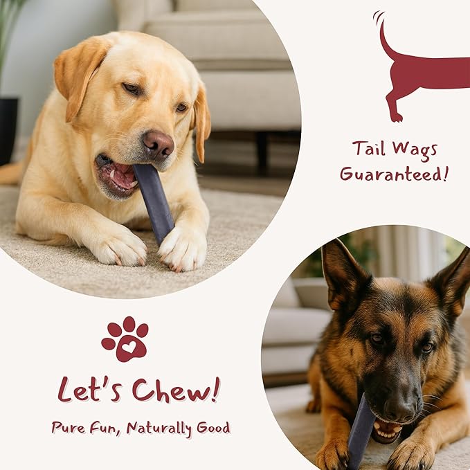 Majestic Pet Himalayan All-Natural Yak Cheese Dog Chews Made with 100% Cows Milk- Long Lasting Dental Chew for Dogs - Healthy Pet Treats (Cognitive Support & Vitality, Regular, 1 Pack)