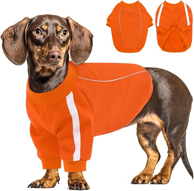 Queenmore Cozy Fleece Dog Sweater XS, Soft Pullover Dog Sweatshirt, Warm Winter Fleece Jacket with Leash Hole/Reflective Stripes for Small Medium Large Dogs Orange