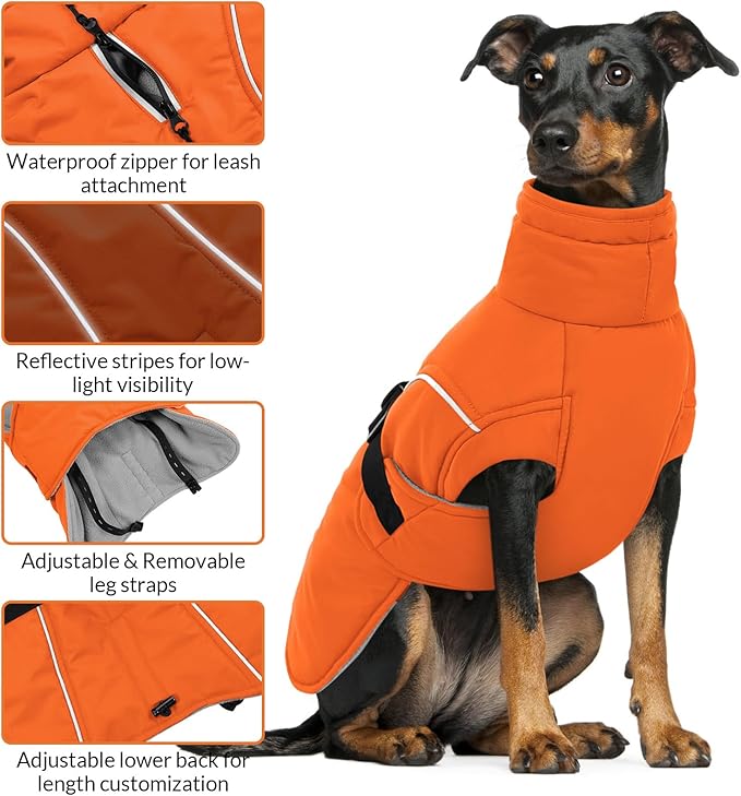 Queenmore Winter Dog Coat Warm Dog Jacket Vest Waterproof Puffer Fleece Snowsuit Adjustable Buckle Leash Hole Reflective Cold Weather Parka for Small Medium Large Dogs Girl Boy Orange L