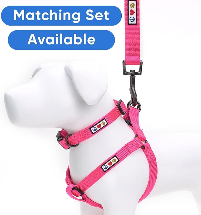 Pawtitas Personalized Dog Leash - Custom Embroidered with Pet Name & Phone Number - 6 ft Pink Small Dog Leash