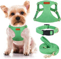 No Pull Dog Harness- Lightweight, Soft, Adjustable Small Harness Collar and Leash Set, Suitable for Cats Puppy Small and Medium-Sized Dog Outdoor Training and Running (Green, XXS)