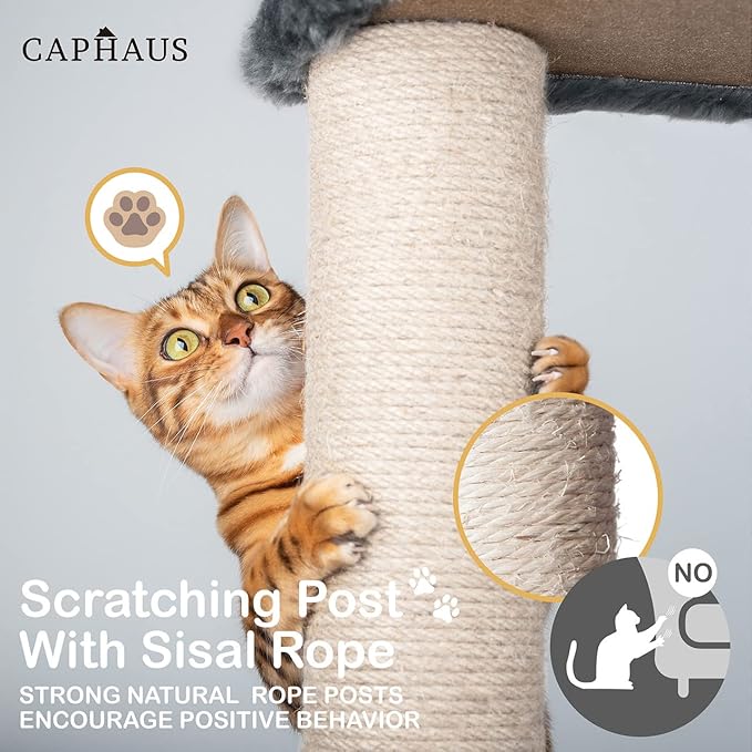 CAPHAUS Extra Wide, Tall Cat Activity Tree w/Two Top Perch, Scratching Posts, Multi-Level Play Tower for Cute Indoor Cats, 58-Inch Modern Cat Tree w/Cat Cave Condo, for Large Cats Kittens