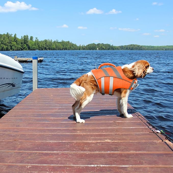 Kuoser Dog Life Jacket with Reflective Stripes - Adjustable High Visibility Vest, Ripstop Lifesaver, Pet Preserver with High Flotation Swimsuit for Small, Medium and Large Dogs