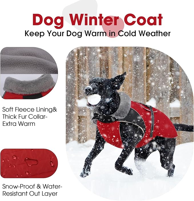 Nanaki Small Dog Coat for Winter Waterproof, Warm Fleece Lining Furry Collar Dog Jacket with Leash Hole, Reflective Adjustable Cold Weather Puppy Jacket Vest, Pullover Pet Snow Suit Male Female,Red S