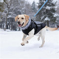 Dog Coat for Medium Large Dogs,Waterproof Reflective Dog Winter Jacket with Harness, Fleece Snowsuit,Warm Pet Winter Coat(Reflective Blue-XL)