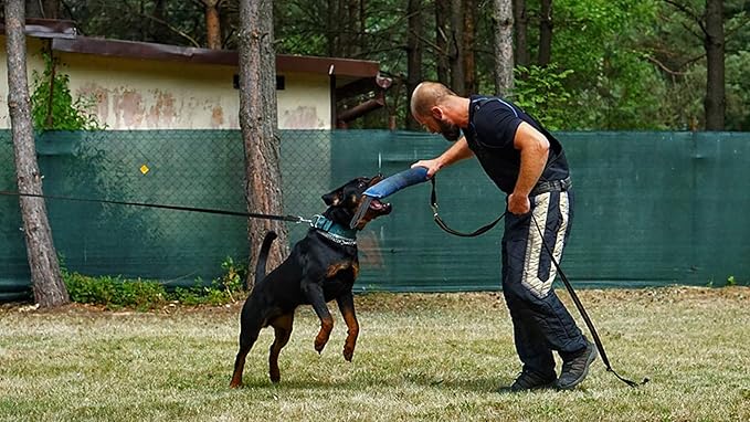 Dingo Gear French Linen tug Toy for Dog, Dog Bumper for Training, Agility, tug of war, Dog bite Pillow for Strong Dog, 2handles 18" red S00068