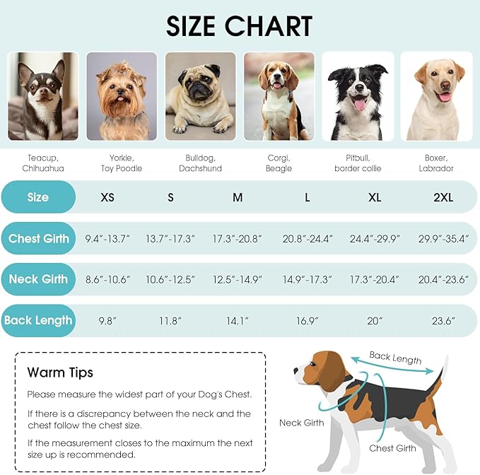 Queenmore Dog Winter Coat, Fleece Puffer Dog Down Vest, Cold Weather Pet Jacket for Dogs, Waterproof Reflective Reversible Dog Sweater Clothes for Small, Medium and Large Dogs (Light Blue, XL)