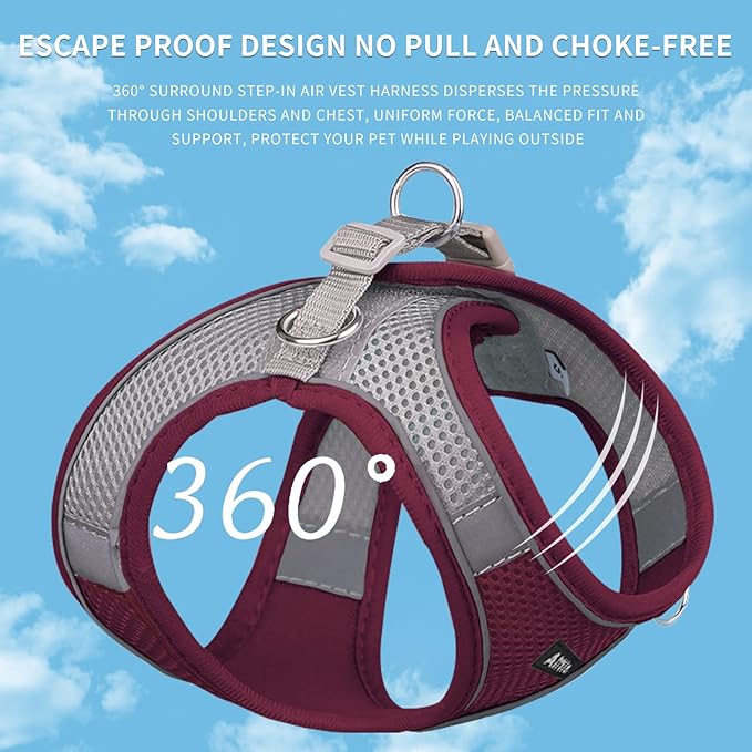 AIITLE Small Harness for Puppy with A Leash - Summer Dog Vest Harness with Super Breathable Mesh, Reflective No-Pull Pet Harness for Outdoor Walking, Camping for Small Dogs, Cats Burgundy XXS