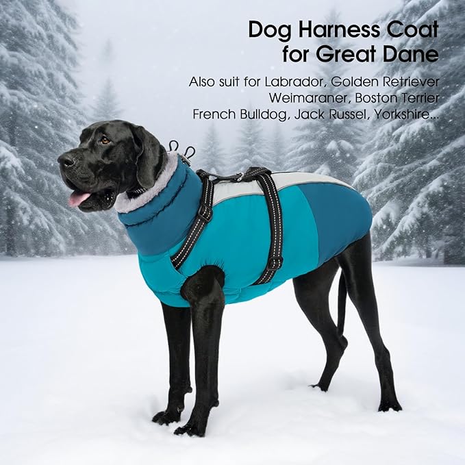 SUNFURA Dog Winter Coat, Warm Dog Coat with Harness for Medium Dogs Boys Girls, Reflective Fleece Lined Pet Winter Jacket Snowsuit for Pug, Jack Russel, Schnauzer, Turquoise M