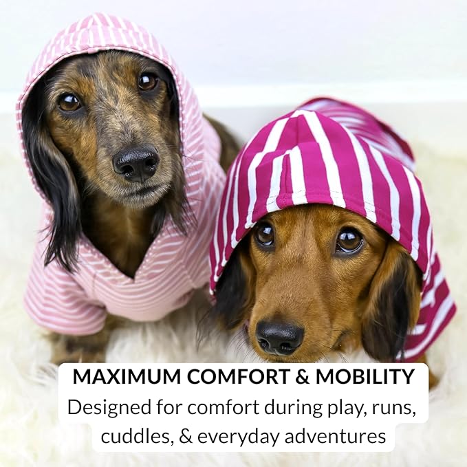 DJANGO Dog Hoodie – Warm, Lightweight, Soft & Stretchy Dog Sweater with Hood, Harness Hole & Elastic Waistband – Cozy Sweatshirt for Small Dogs up to 25 lbs, Dachshunds & Puppies – Blush Pink, Medium