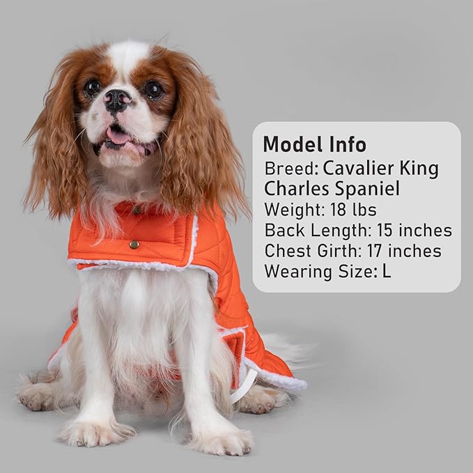 KYEESE Dog Coat Waterproof Dogs Jacket with Fleece Lined Thick Cat Clothes with Pocket Warm Pet Winter Puffer Coat with Leash Hole Soft Pet Sweater for Cold Weather Windproof Dog Coats for Small Dogs